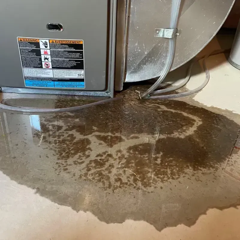 Appliance Leak Cleanup in Konawa, OK